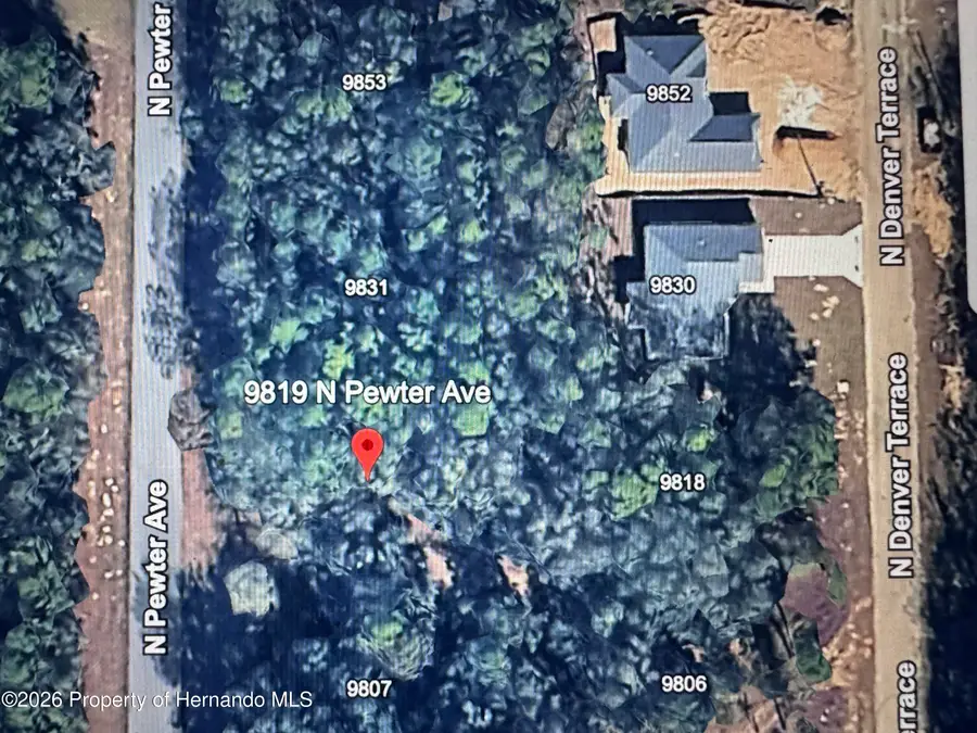 9819 N Pewter Avenue, Citrus Springs, FL 34434 - Image #2