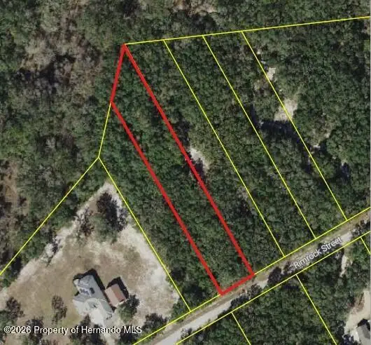 0 Rimrock Street, Webster, FL 33597 - #2