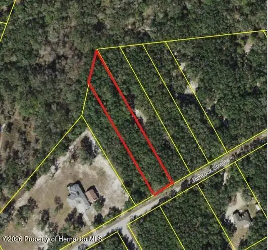 0 Rimrock Street, Webster, FL 33597 - #3