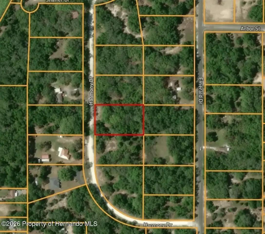 0 Harmony Avenue, Dade City, FL 33523 - #1