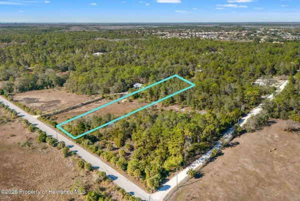 0 Long Lake Avenue, Weeki Wachee, FL 34613