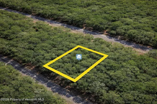 1650 E Badger Drive, Citrus Springs, FL 34434