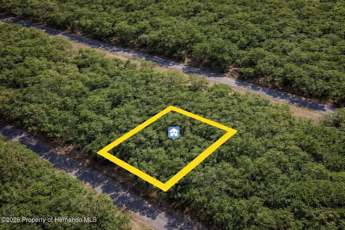 1628 E Badger Drive, Citrus Springs, FL 34434 - Image #1