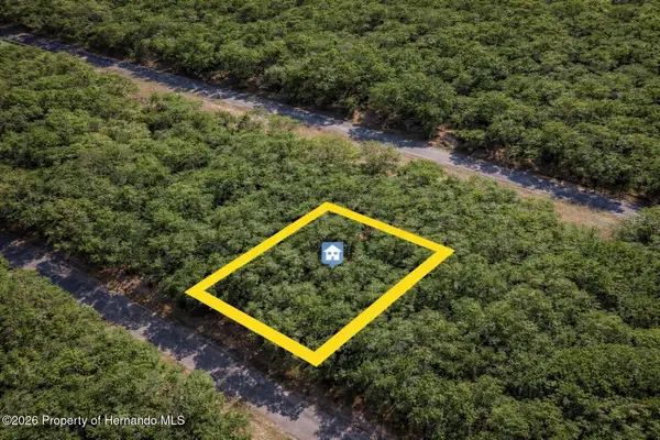 1628 E Badger Drive, Citrus Springs, FL 34434