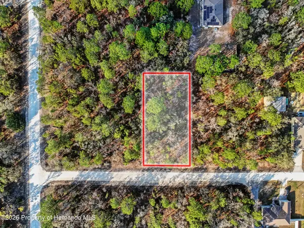 11203 Shivering Owl Avenue, Weeki Wachee, FL 34614