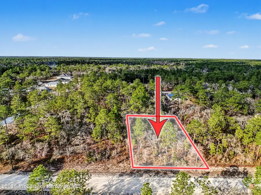 11203 Shivering Owl Avenue, Weeki Wachee, FL 34614 - #3