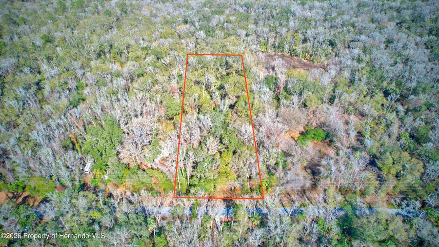 16345 Budowski Road, Brooksville, FL 34614 - #3