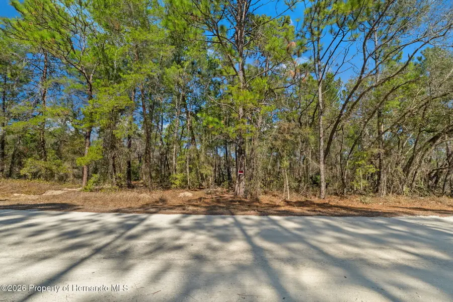 0 Tinamou Avenue, Weeki Wachee, FL 34614 - #3