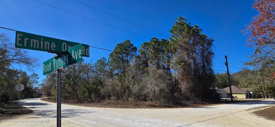 13231 Road Runner Avenue, Brooksville, FL 34614 - Image #3