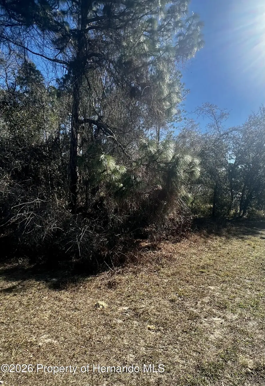 8039 N Creek Way, Citrus Springs, FL 34434 - Image #2