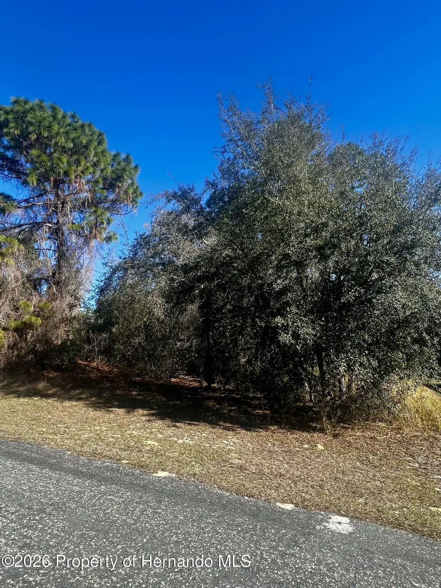 8039 N Creek Way, Citrus Springs, FL 34434 - Image #3