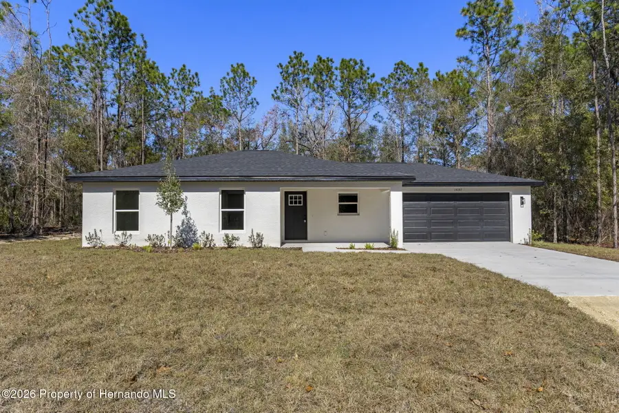 14197 Red Marlin Avenue, Brooksville, FL 34614 - Image #2