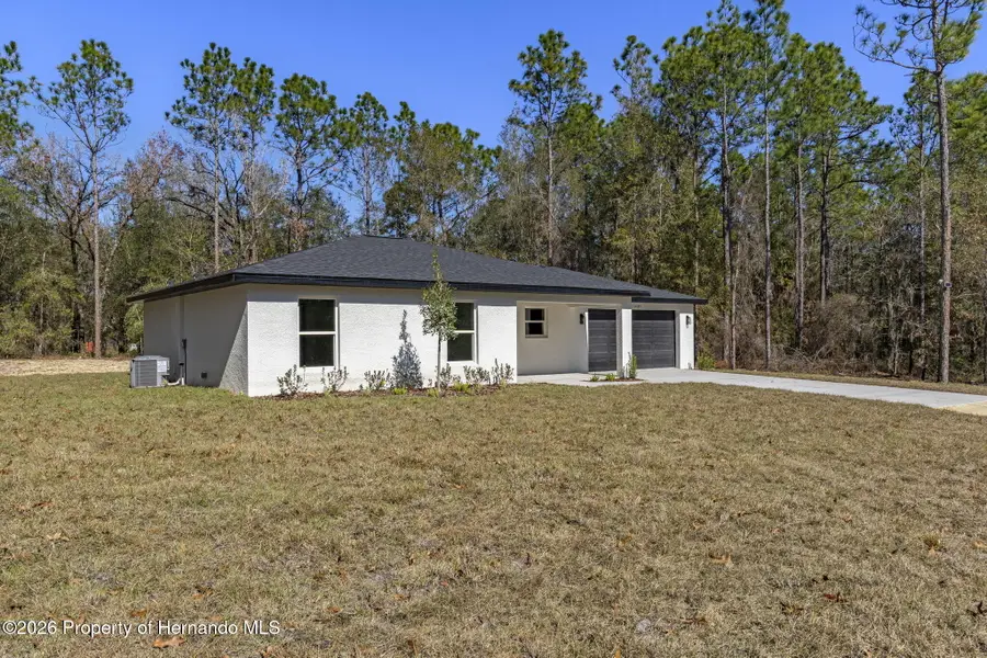 14197 Red Marlin Avenue, Brooksville, FL 34614 - Image #3