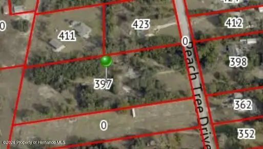 397 Peach Tree Drive, Spring Hill, FL 34609 - Image #2