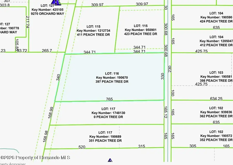 397 Peach Tree Drive, Spring Hill, FL 34609 - Image #3