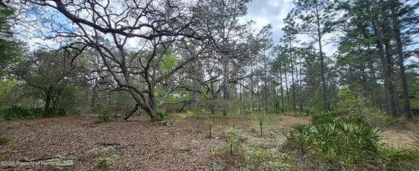 12090 Osprey Avenue, Weeki Wachee, FL 34614