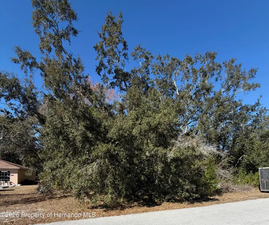 0 Sylvia Avenue, Spring Hill, FL 34606 - Image #2