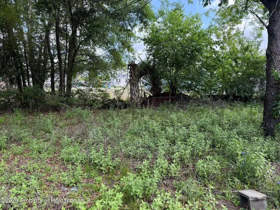 16111 Sarasota Street, Brooksville, FL 34604 - #3