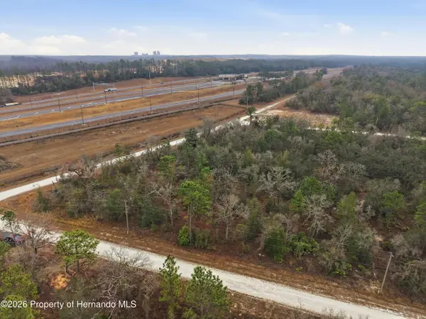 14080 Cagarro Road, Weeki Wachee, FL 34614