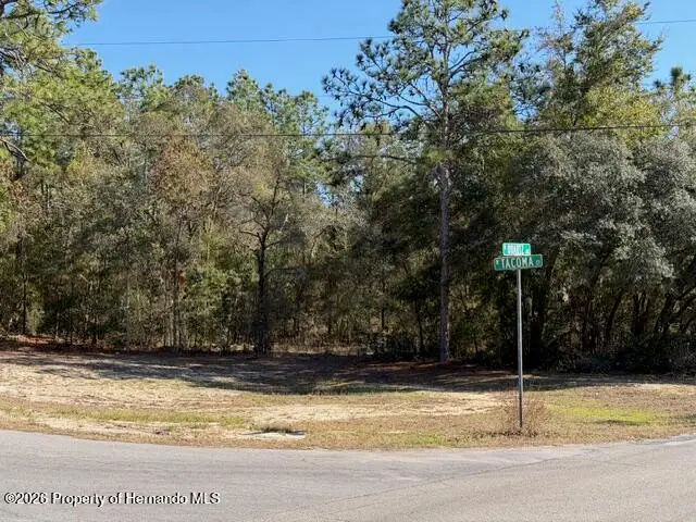 1936 W Tacoma Street, Hernando, FL 34442 - #3