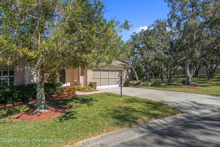 2143 Springmeadow Drive, Spring Hill, FL 34606 - #3