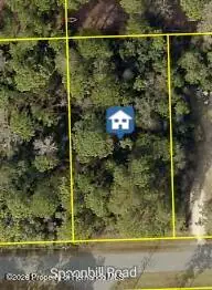11051 Spoonbill Road, Spring Hill, FL 34613