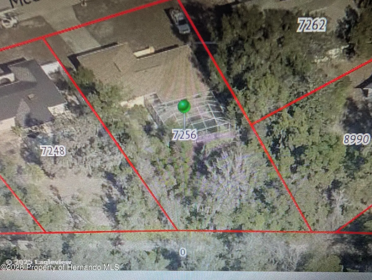 7256 Mcginnes Court, Weeki Wachee, FL 34613 - Image #1