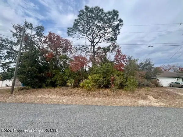 10415 Laval Street, Spring Hill, FL 34608