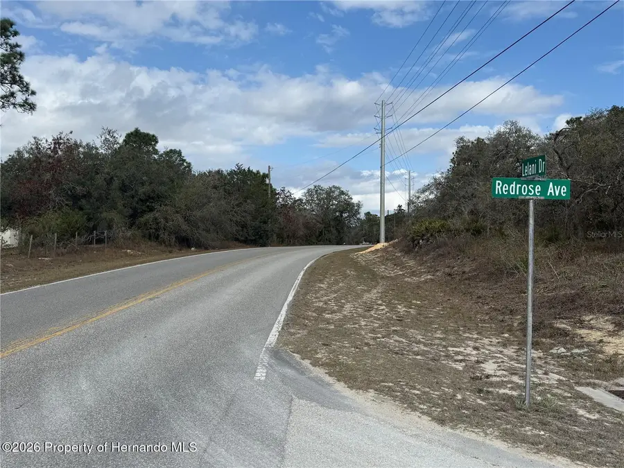 12373 Redrose Avenue, Brooksville, FL 34614 - Image #2