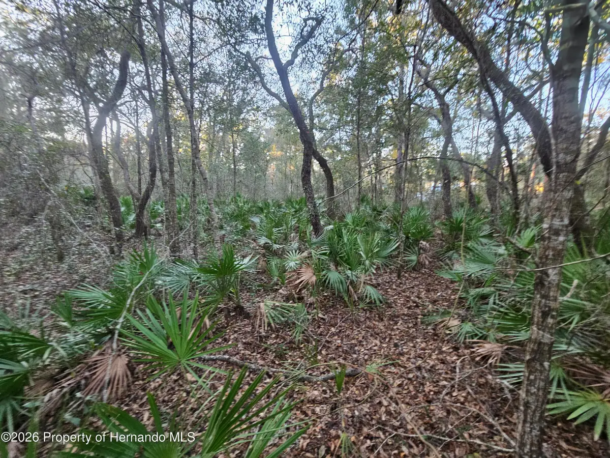 0 Atwood Drive, Webster, FL 33597 - #1