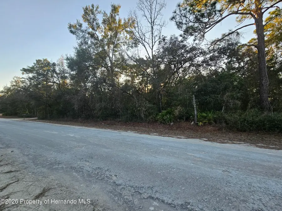 0 Atwood Drive, Webster, FL 33597 - #3