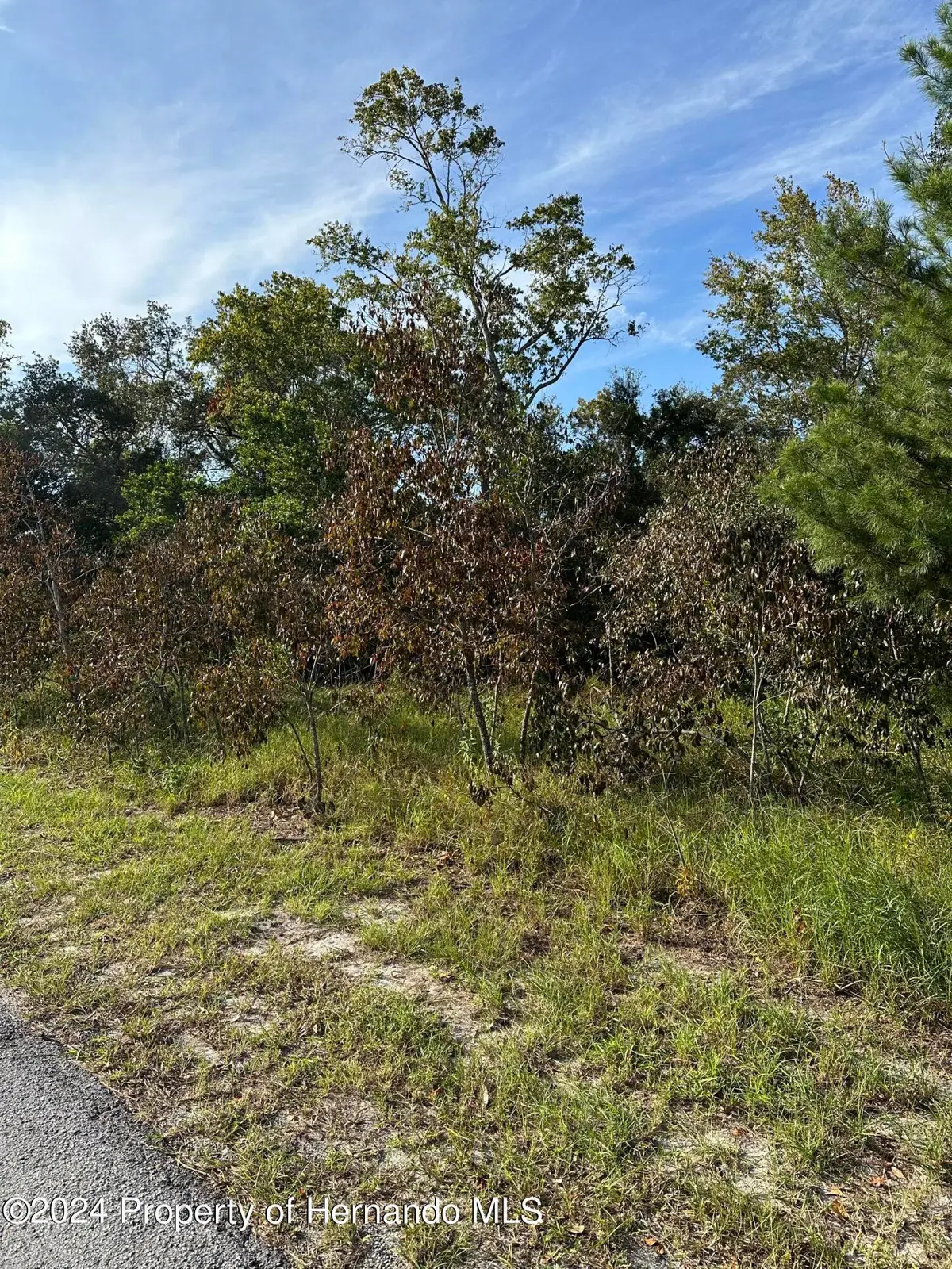 000 Sylvia Avenue, Spring Hill, FL 34606 - Image #1