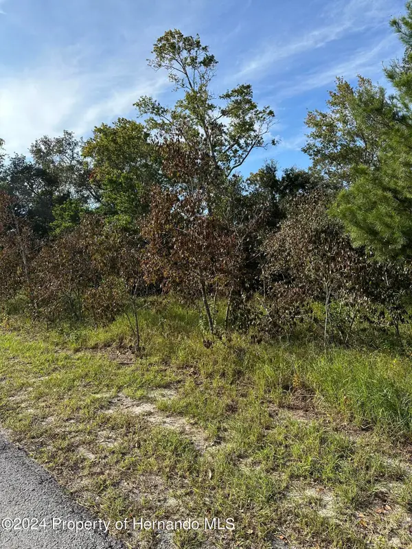 000 Sylvia Avenue, Spring Hill, FL 34606