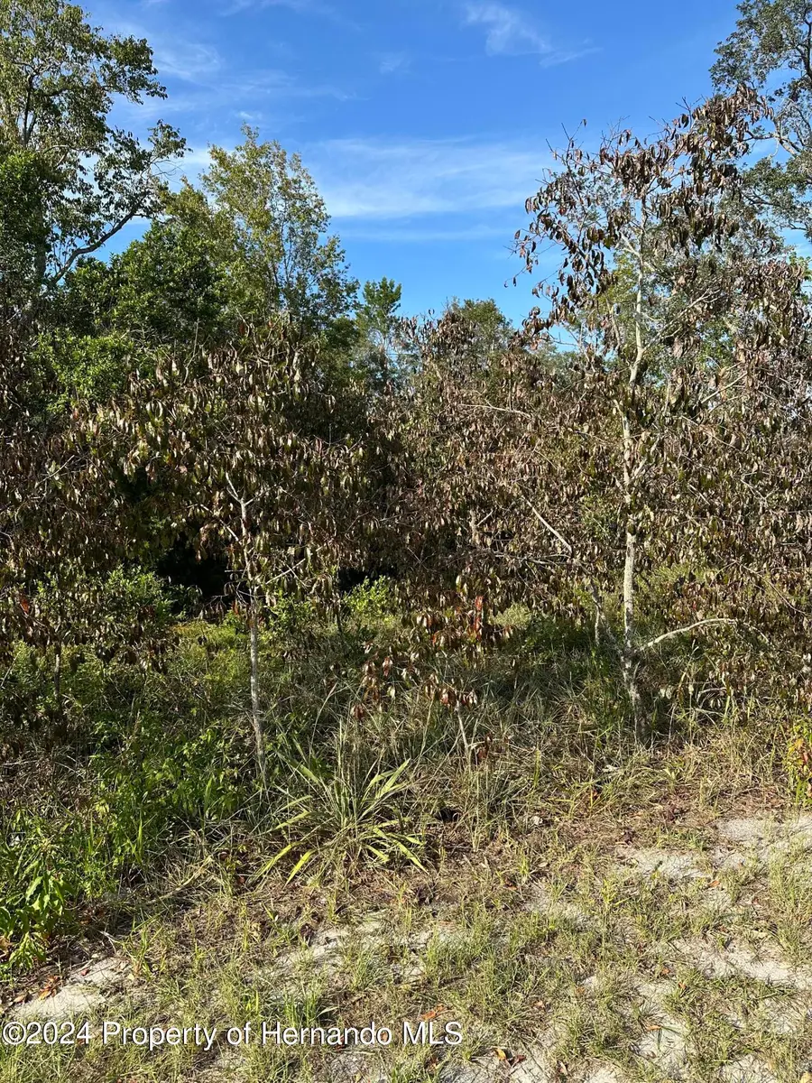 000 Sylvia Avenue, Spring Hill, FL 34606 - Image #3