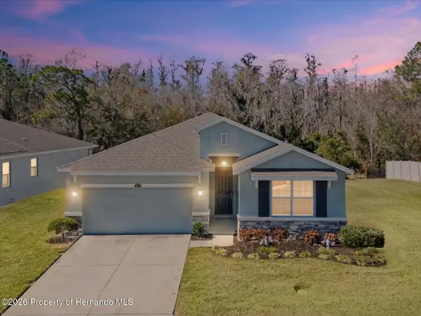 2873 Storybrook Preserve Drive, Odessa, FL 33556