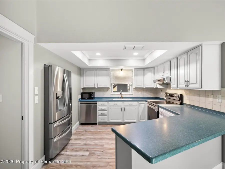 8264 Goodrich Street, Spring Hill, FL 34606 - #2