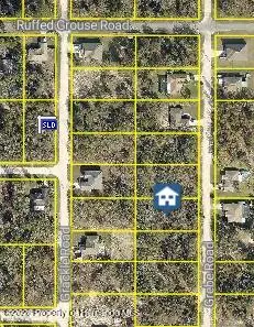 13457 Grebe Road, Weeki Wachee, FL 34614 - #2