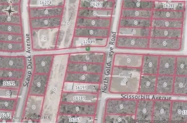 0000 Thrasher Avenue, Brooksville, FL 34614 - #1