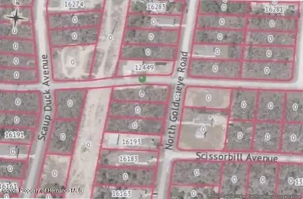 0000 Thrasher Avenue, Brooksville, FL 34614