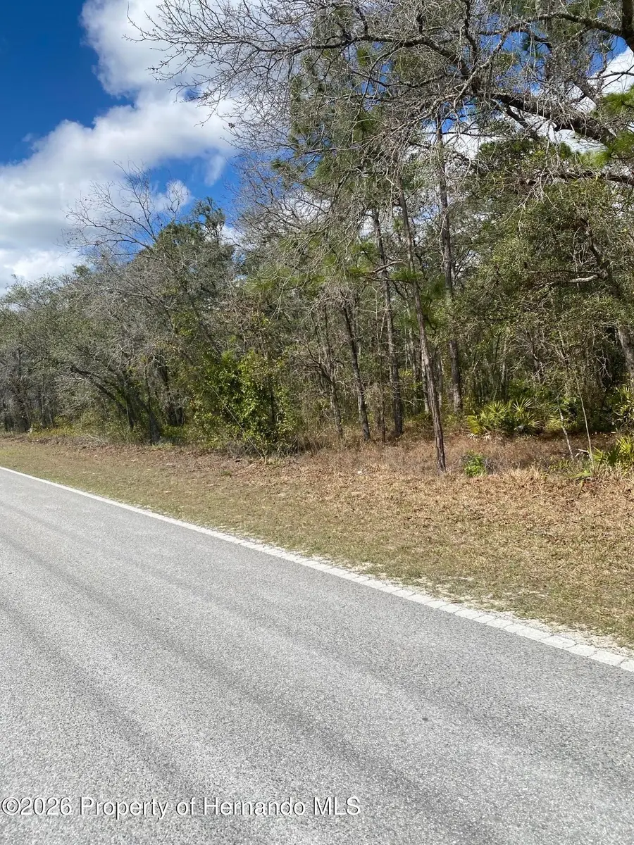 12041 Knuckey Road, Brooksville, FL 34614 - #2