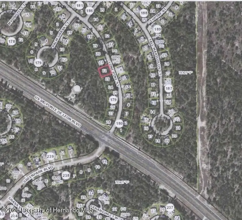 13 Lone Pine Street, Homosassa, FL 34446 - #1