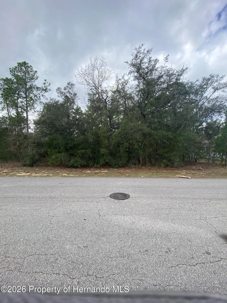 13 Lone Pine Street, Homosassa, FL 34446 - #2