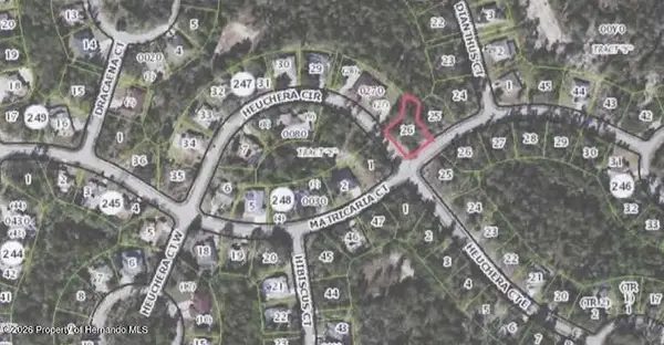 25 Matricaria Court, Homosassa, FL 34446