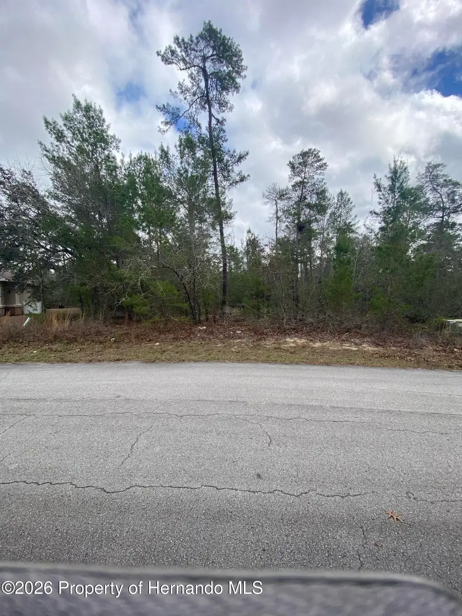 34 Tall Marigolds Court, Homosassa, FL 34446 - #2