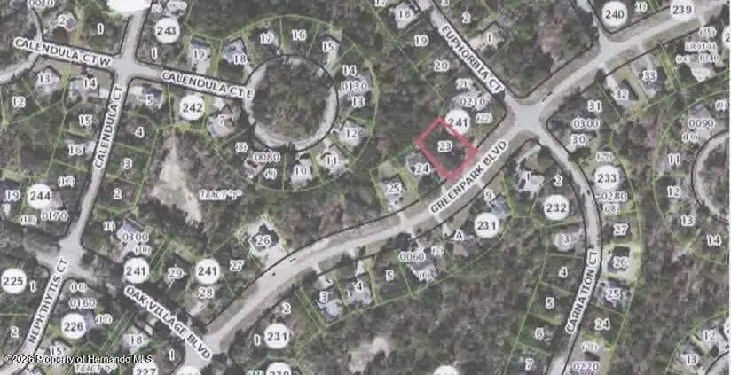 48 Greenpark Boulevard, Homosassa, FL 34446 - #1