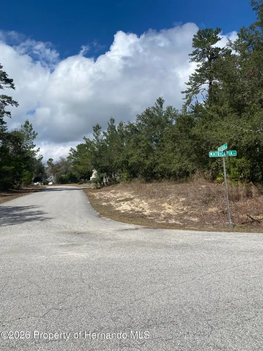 48 Greenpark Boulevard, Homosassa, FL 34446 - #3