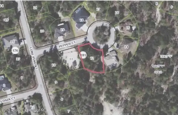 6 Pepper Court, Homosassa, FL 34446