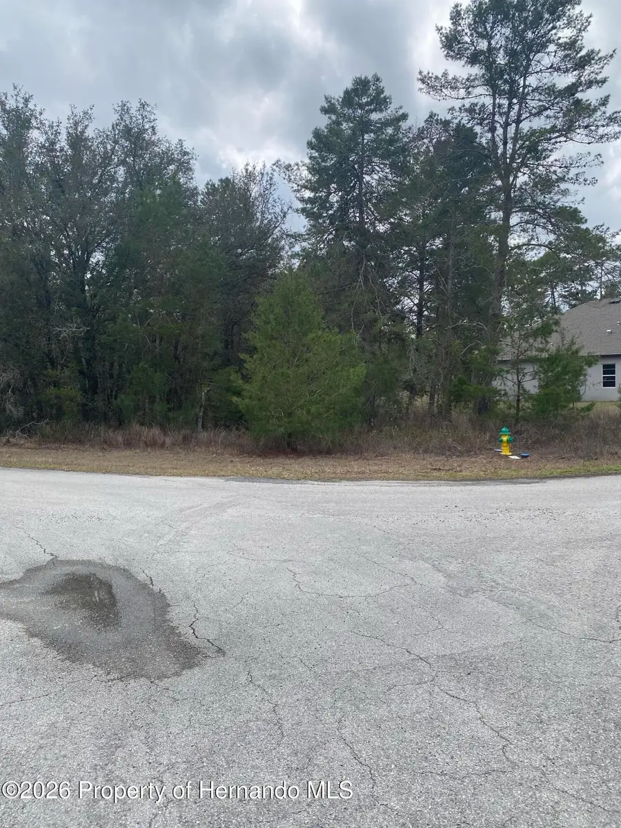 6 Pepper Court, Homosassa, FL 34446 - #2