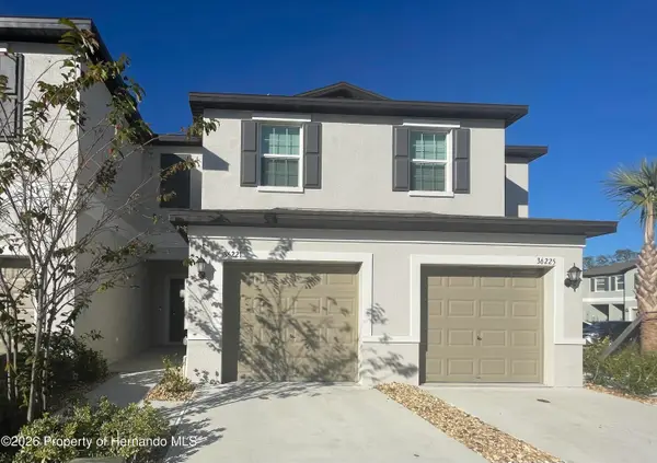 36221 Risa Michele Street, Zephyrhills, FL 33541