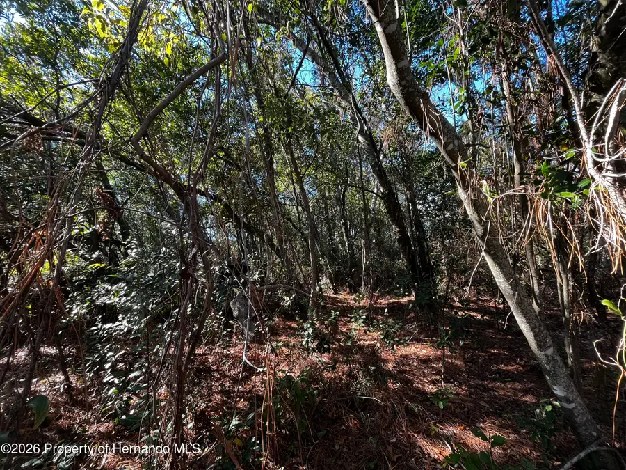 0 Marietta Avenue, Spring Hill, FL 34608 - #2